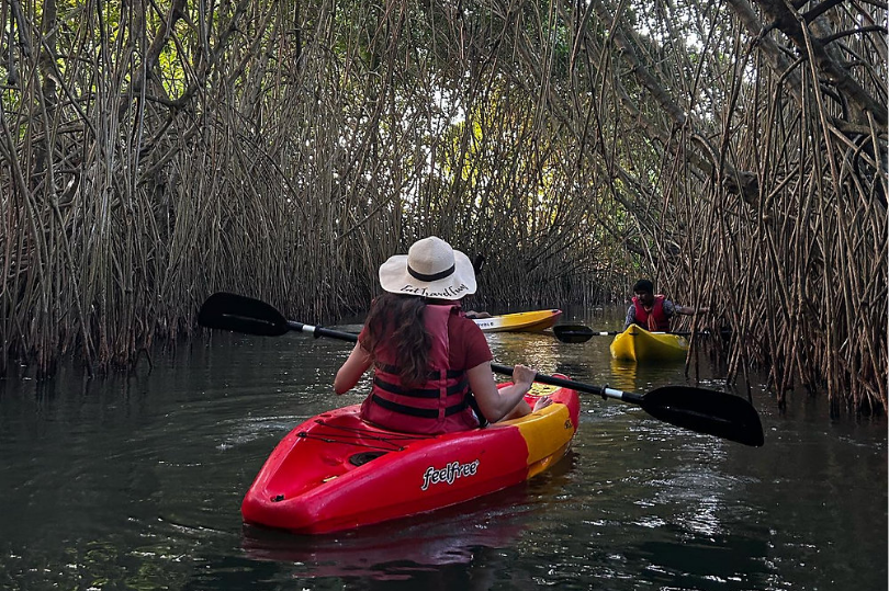 Explore the Peaceful Beauty of Kayaking in Goa's Backwaters